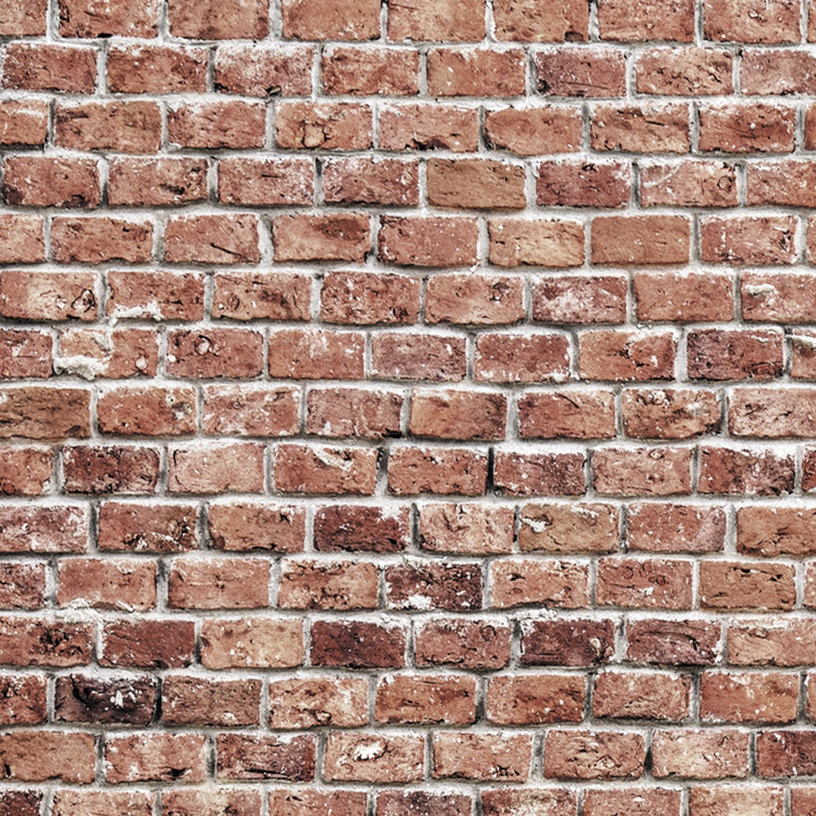 99. Old Brick Wall