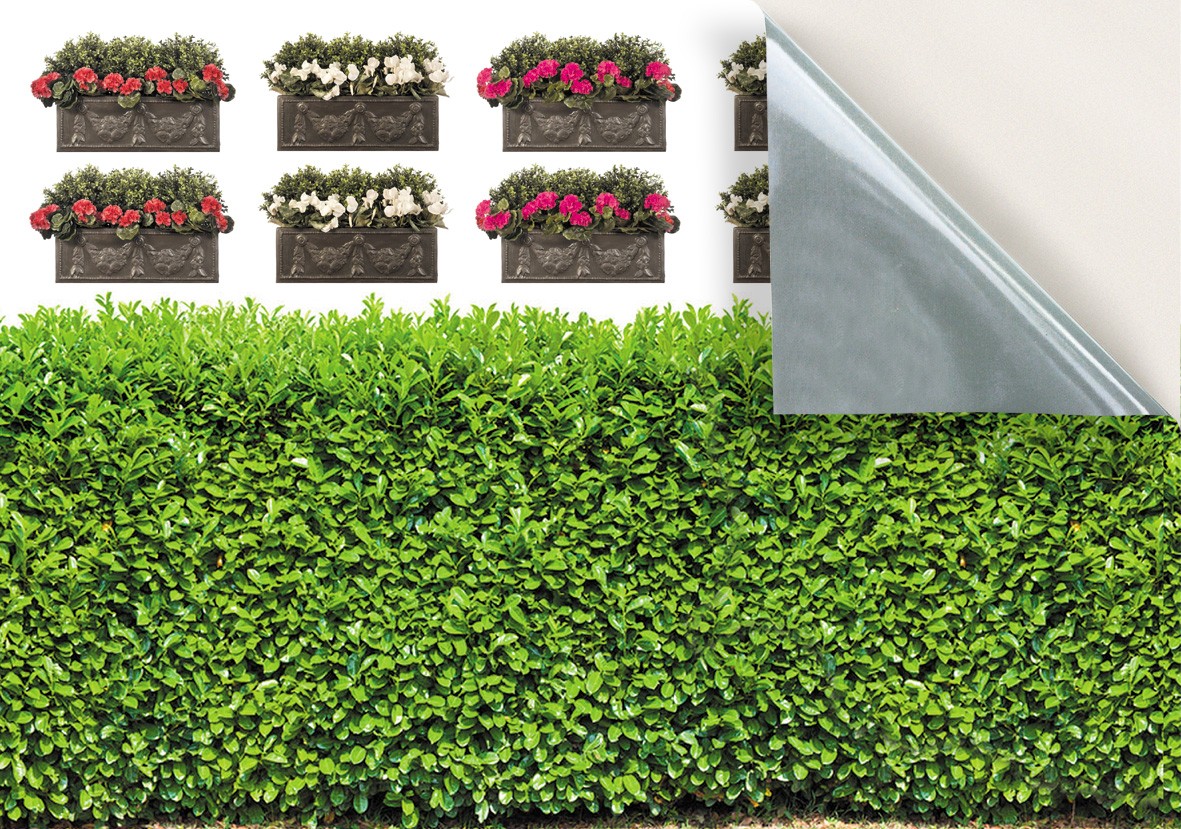 174. Hedge & Window Boxes