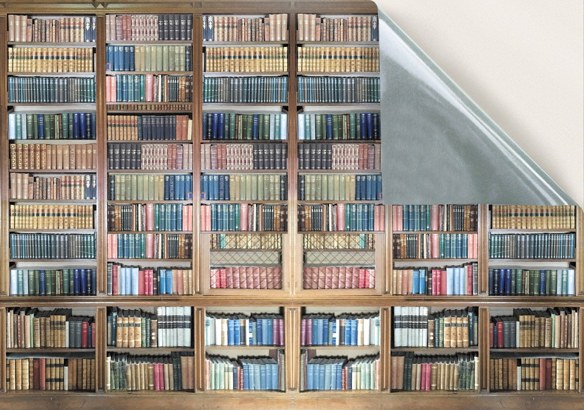 40. Library Books Shelving