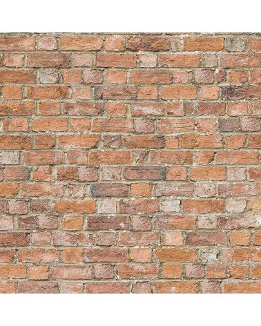 199. Old Red Brick Wall