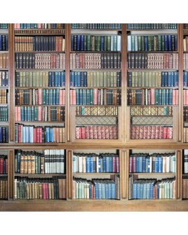 40. Library Books Shelving
