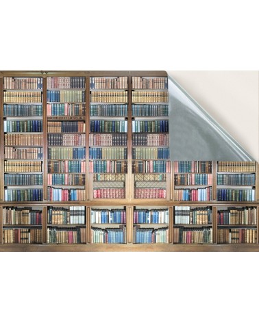 40. Library Books Shelving