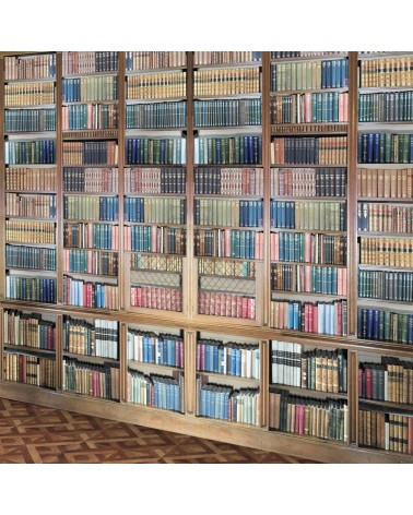 40. Library Books Shelving