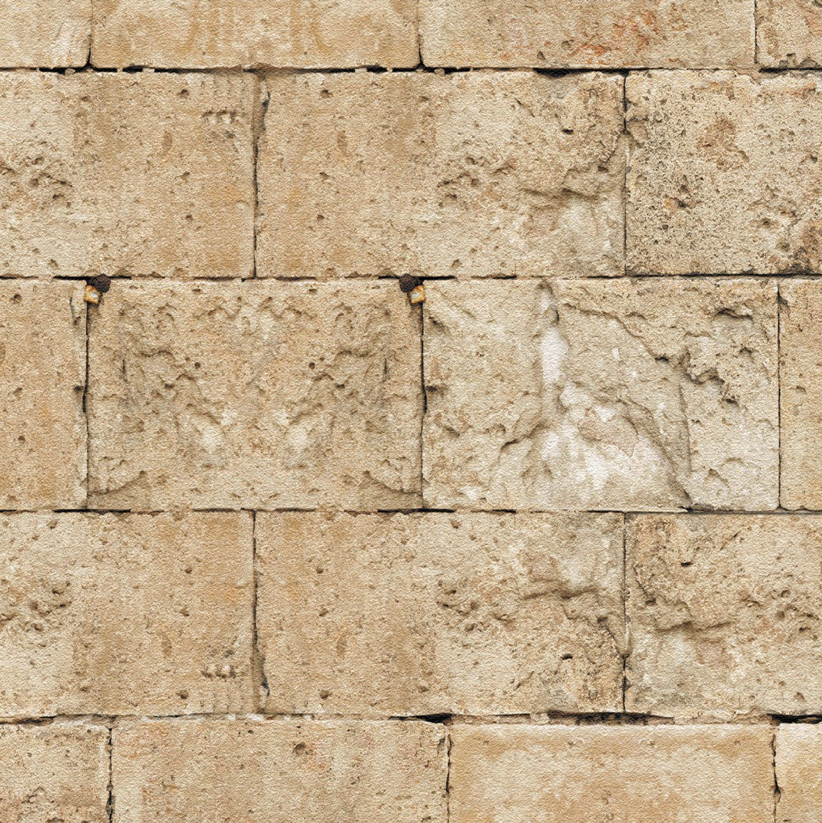 201. Manor Stone Wall