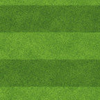 70. Grass Lawn
