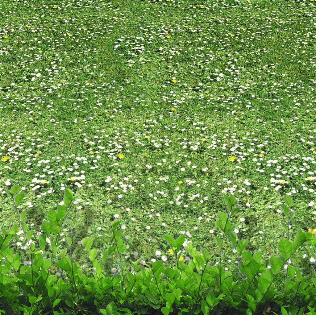 71. Grass