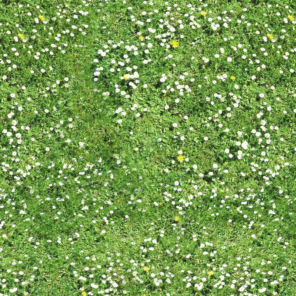 71. Grass