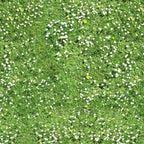 71. Grass