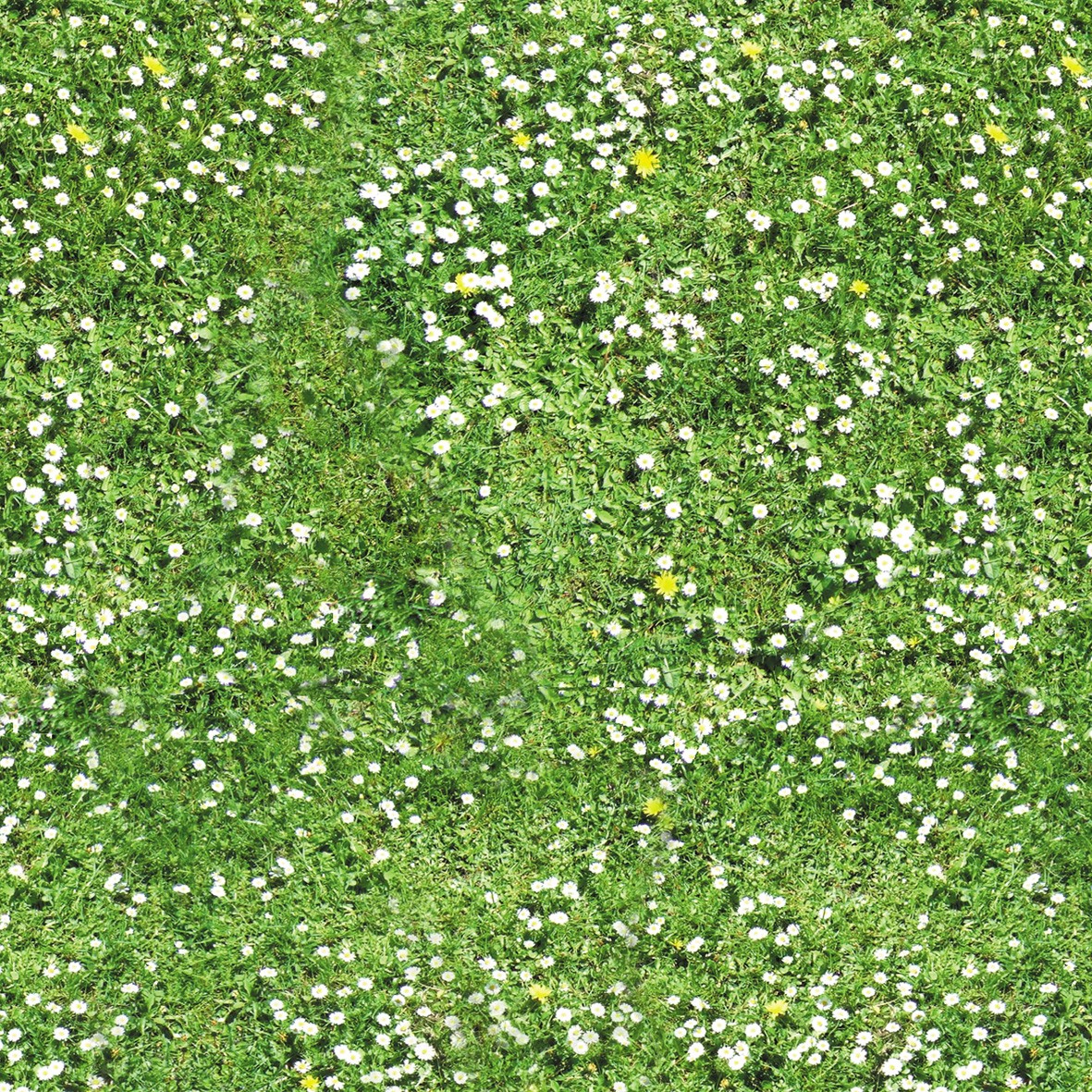 71. Grass