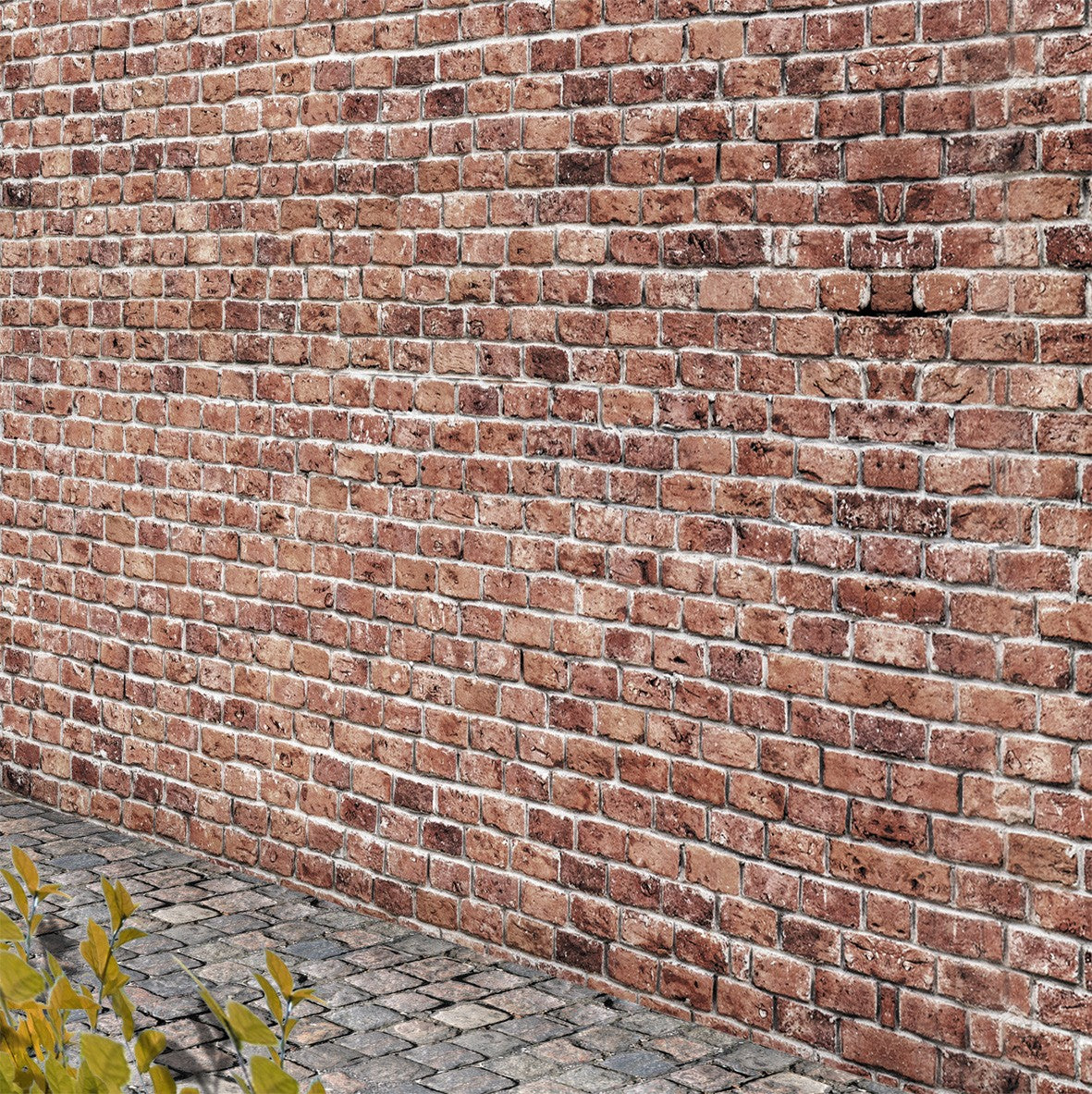 99. Old Brick Wall