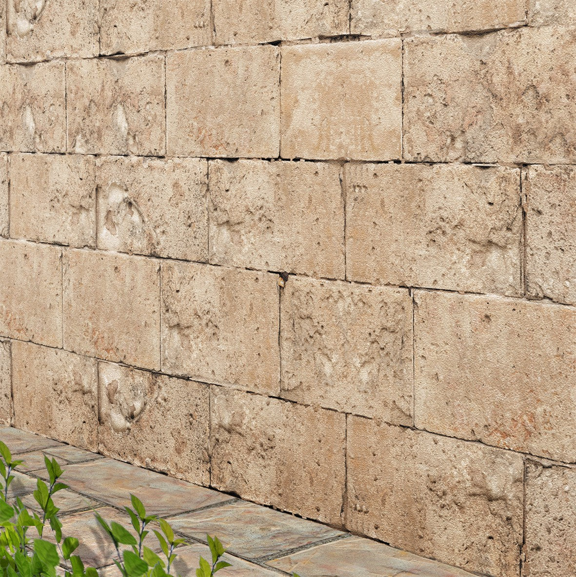203. Large Stone Wall