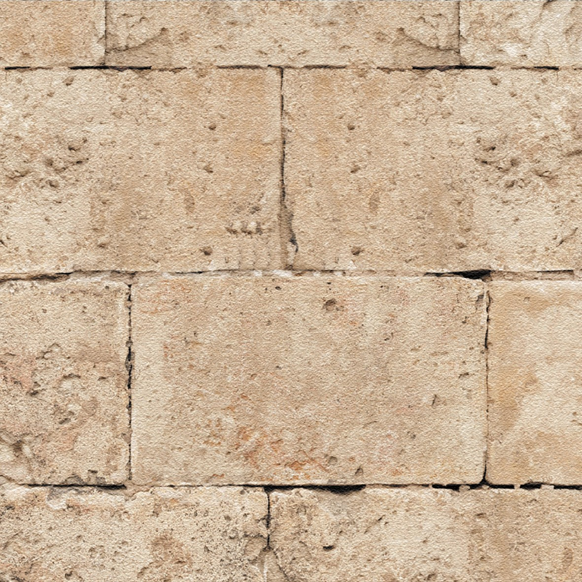 203. Large Stone Wall