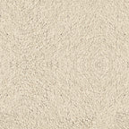 170. Stucco Wall Beige