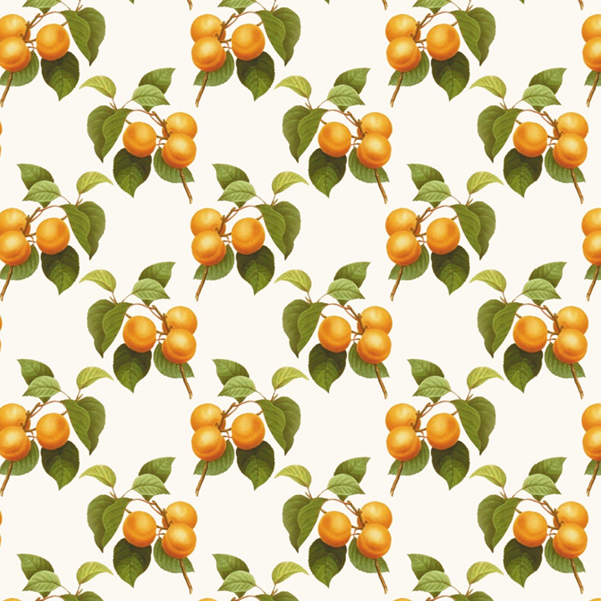 142. Vintage Apricot Fruit Wallpaper