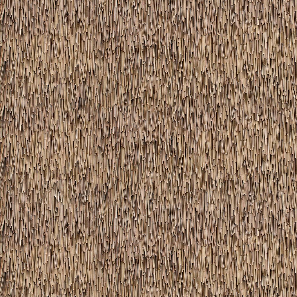 193. Thatch Brown