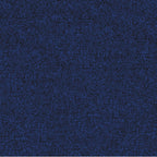 50. Dark Blue Carpet