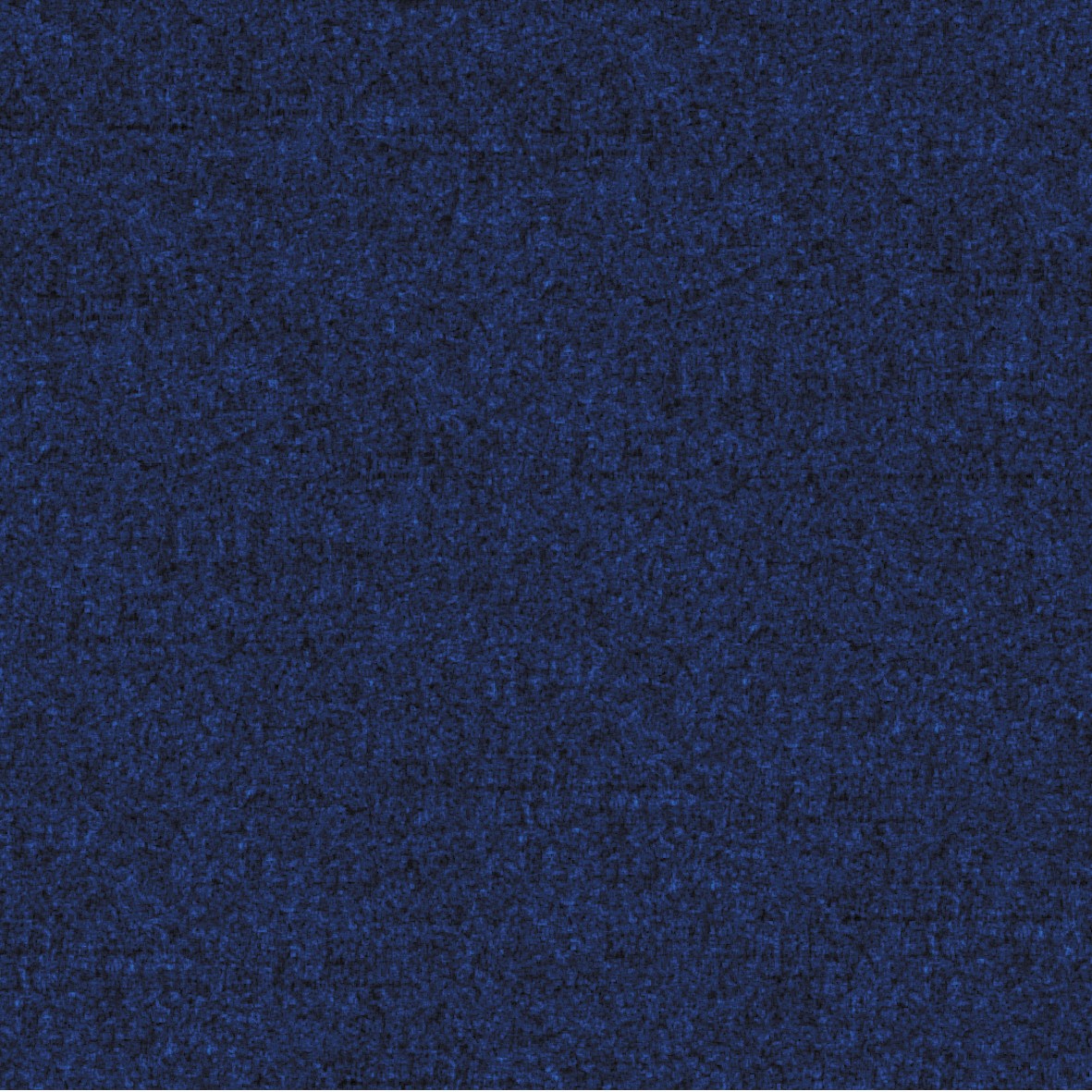 50. Dark Blue Carpet