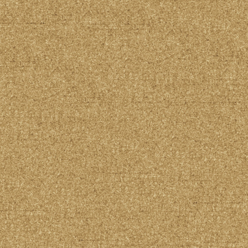 51. Brown Beige Carpet