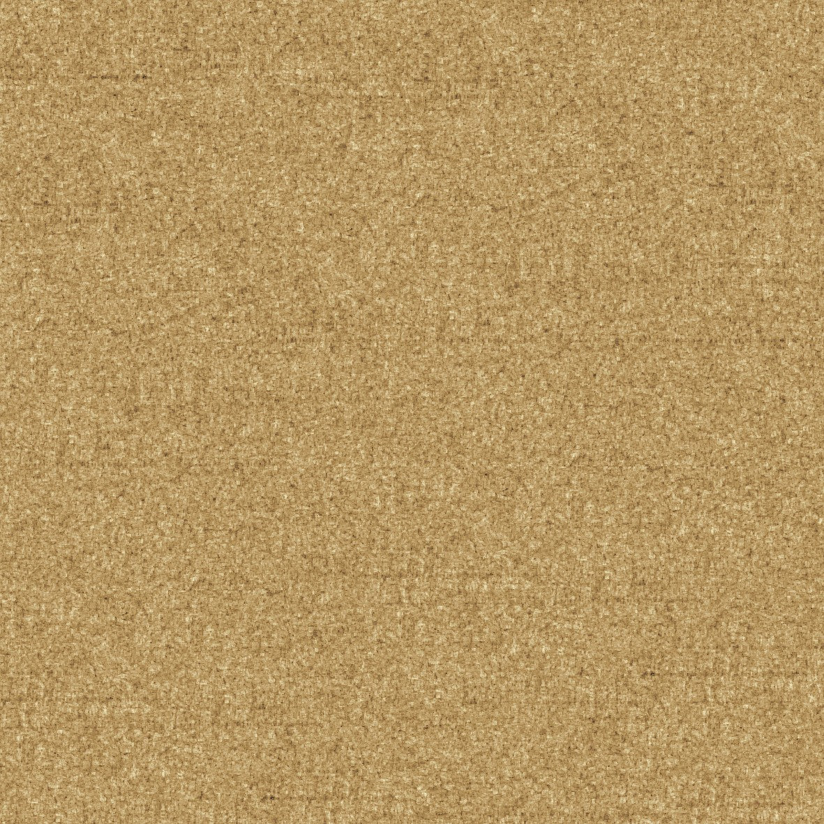 51. Brown Beige Carpet