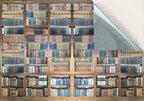 40. Library Books Shelving