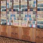 156. Library & Panels