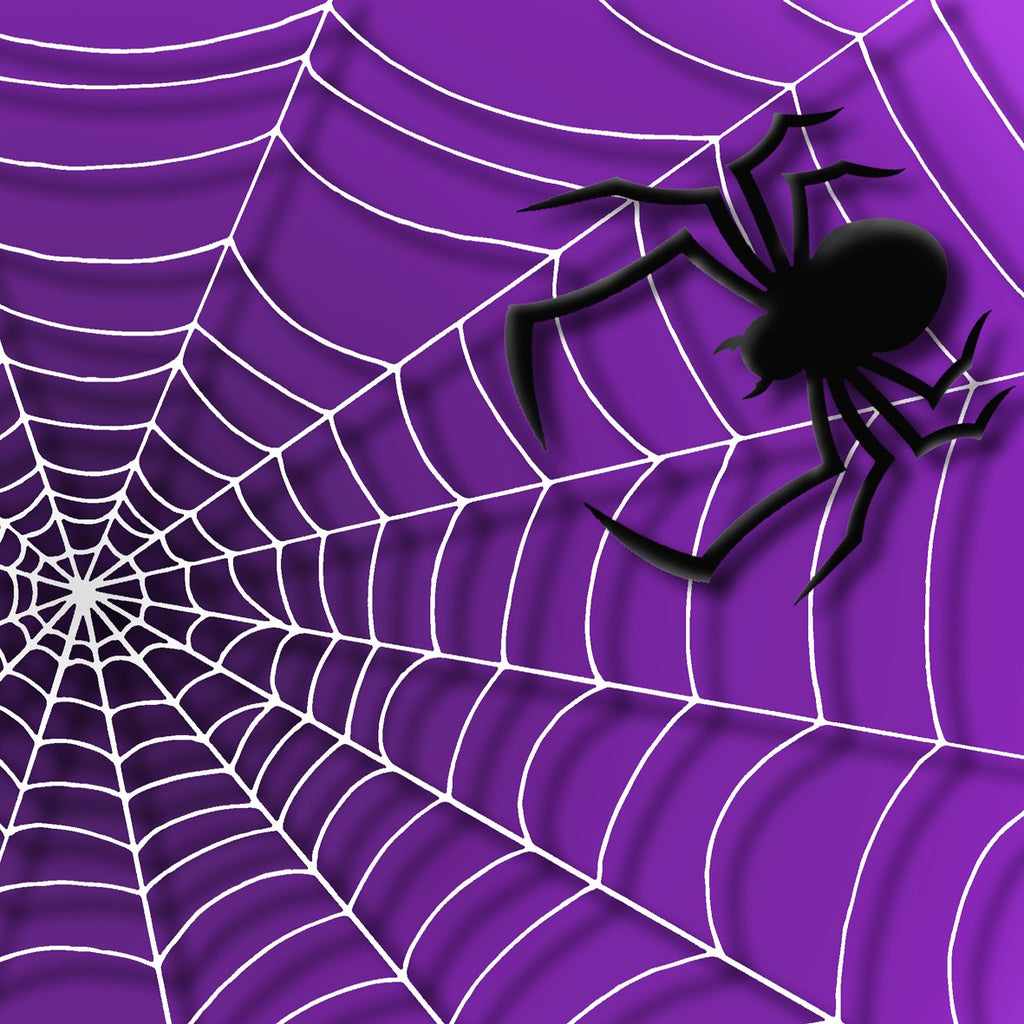 220. Halloween Web & Spider