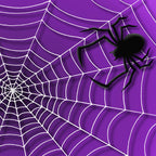 220. Halloween Web & Spider