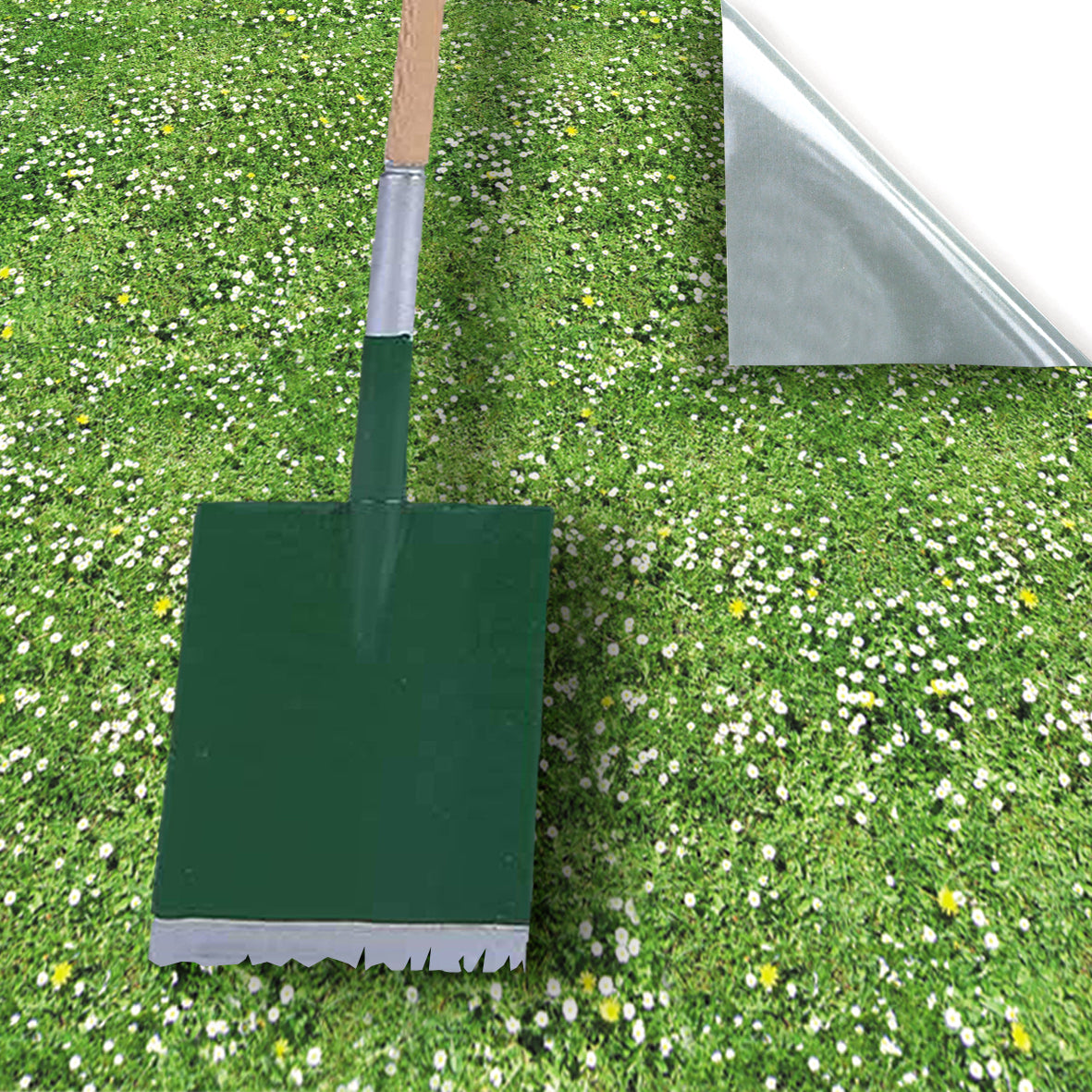 71. Grass
